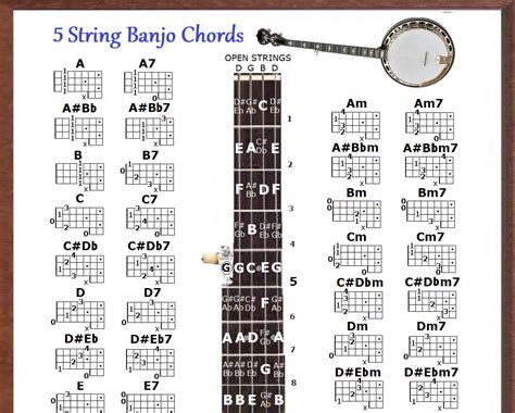 5 Saiten Banjo Akkorde Charte Kleine Tabelle Ebay