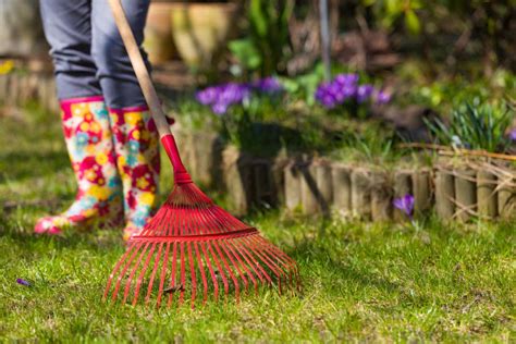 Tips For Your Spring Yard Clean Up This Year Dr Green Services