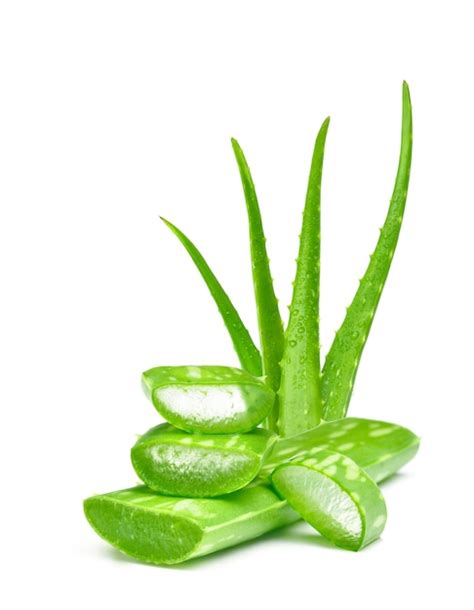 Premium Photo Fresh Green Aloe Vera Leaves On White Background