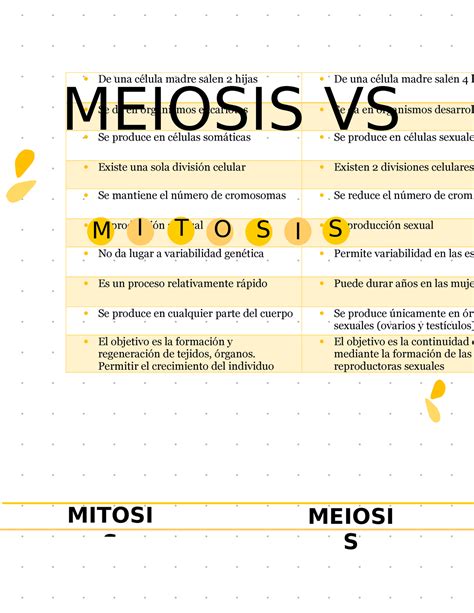 Meiosis Vs Mitosis Embriologia Básica De Una Célula Madre Salen 2