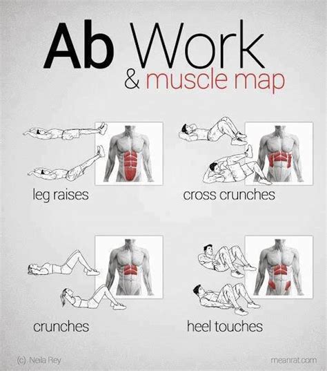 Showme Nan Ab Work And Muscle Map