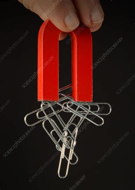 Magnet With Paper Clips Stock Image C0390864 Science Photo Library