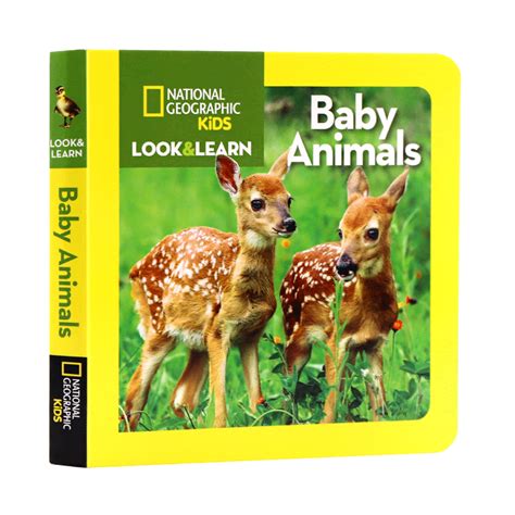 National Geographic Little Kids Look And Learn Baby Animals Lazada