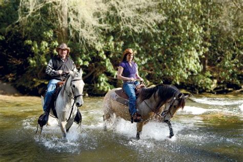Horseback Waterfall Tours Offers A Different View Of The Great Outdoors