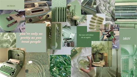 Sage Green Aesthetic Macbook Wallpaper In 2023 Green Aesthetic