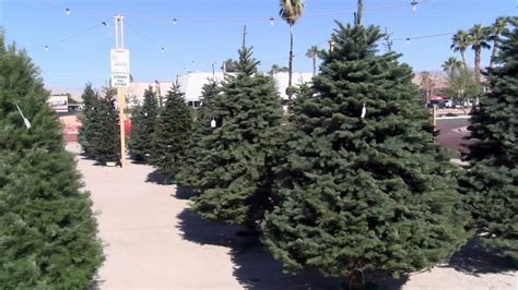 Free Christmas Tree Recycling At Two County Landfills Until Saturday KESQ