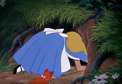 Alice In Wonderland Down The Rabbit Hole Alice In Wonderland Disney Alice In Wonderland