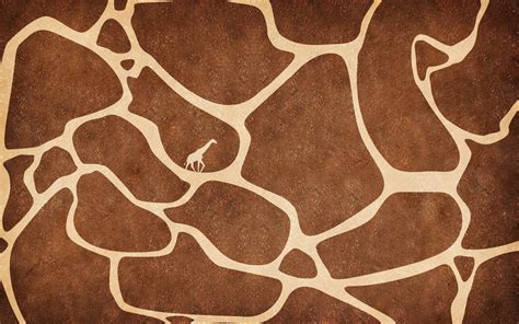 Giraffe Wallpapers Wallpaper Cave
