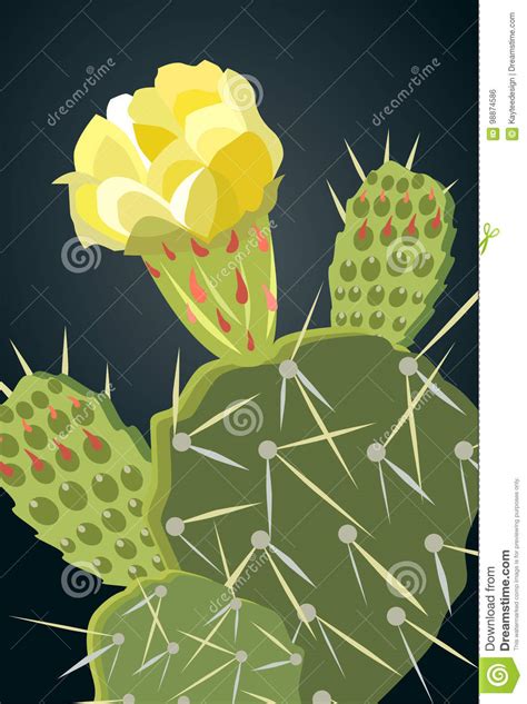 Prickly Pear Cactus Stock Illustrations 1671 Prickly Pear Cactus