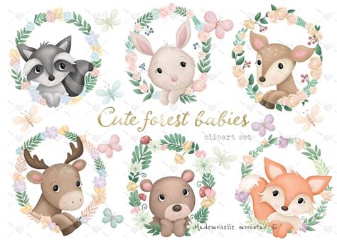 Cute Forest Babies Animals Clipart Set 300 Dpi Png Files Etsy