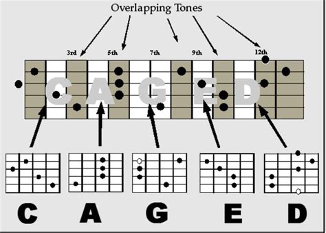 Beyond The Caged Guitar Method Learning Instruction With Seedega