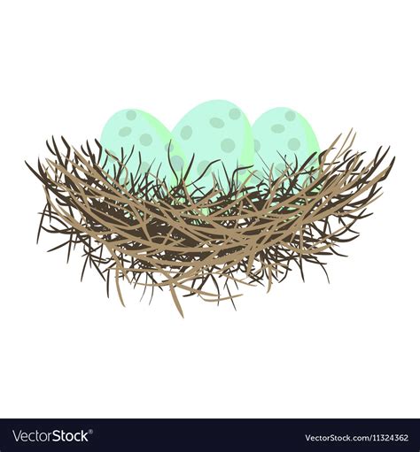 Green Wild Eggs In Bird Nest Royalty Free Vector Image