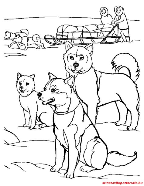 Click on the yellow custom tab at the right or top. Pin by Craftini on USA: Alaska 1/3/59* | Puppy coloring ...
