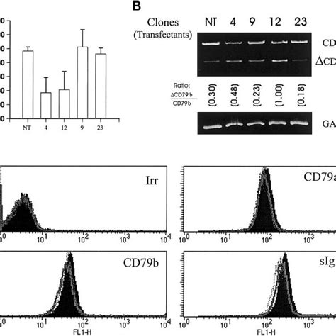 Correlation Of Expression Of Cd79b And Sensitivity To Anti Fcinduced