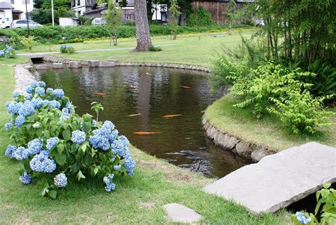Похожие запросы для bass pond designs. Backyard Fish Farming - Raise Fish In Your Home Pond ...