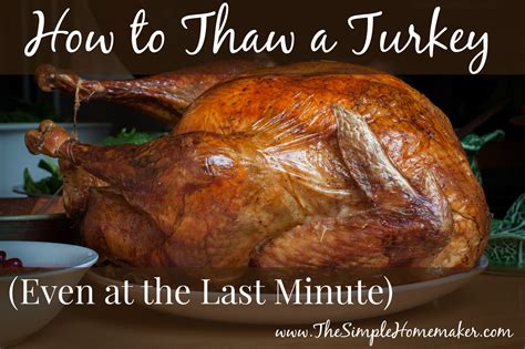 how to thaw a turkey even at the last minute