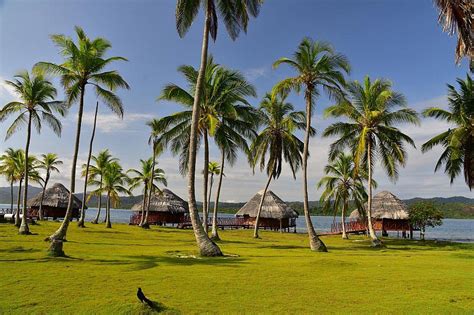 Yandup Island Lodge Panama Ck Fischer