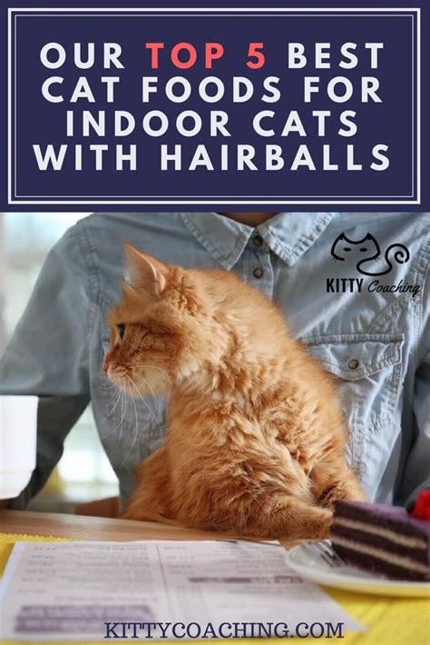 Although humans crave variety in their diets, cats do not. Our Top 5 Best Cat Foods for Indoor Cats with Hairballs (2018)