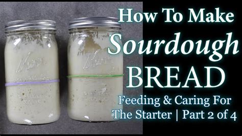 How To Make Sourdough Bread Starter Feeding And Caring For Part 2