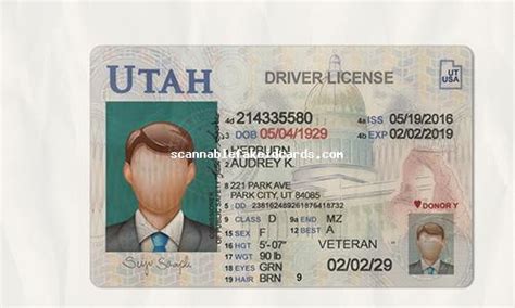 Fake Utah Drivers License Buy Scannable Fake Id Fake Id Online