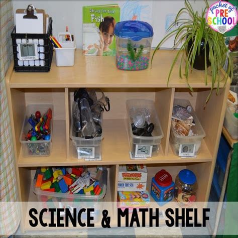 Classroom Reveal And A Freebie Science Center Preschool Science Area