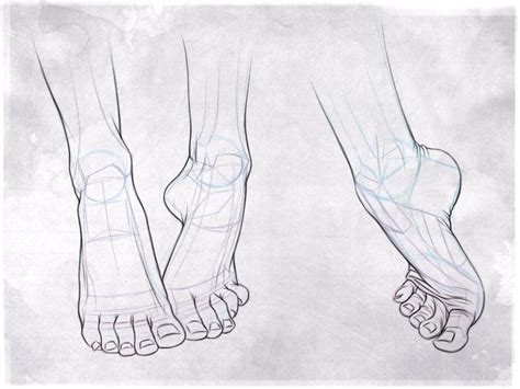 Foot Studies I By Giselleukardi On Deviantart