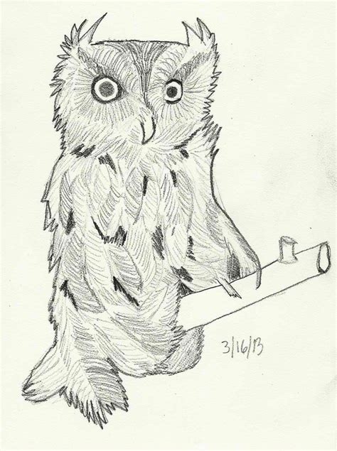 Owl Drawing Owls Drawing Owl Sketch Owl