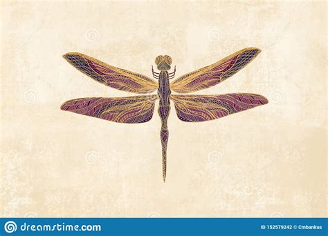 Art Nouveau Dragonfly Stock Illustration Illustration Of Victorian