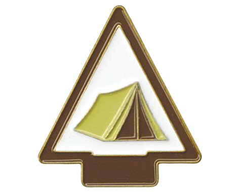 Cs Arrow Of Light Core Adventure Pins Boy Scouts Of America