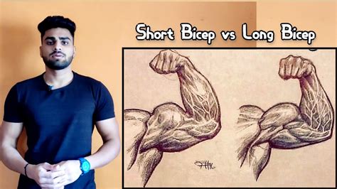 Short Biceps Vs Long Biceps Explained In Hindi Biceps Type Youtube