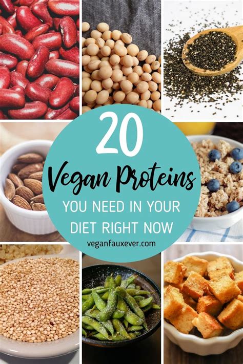 The Top 20 Vegan Proteins You Need In Your Diet Right Now Including