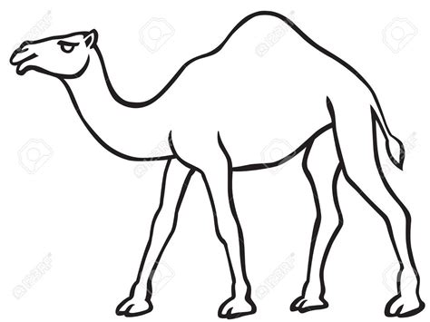 424 pages · 2013 · 4.04 mb · 1,060 downloads· english. Camel Drawing Book | Free download on ClipArtMag