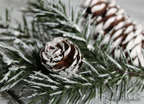 Diy Snow Covered Branches And Pine Cones Clean And Scentsible
