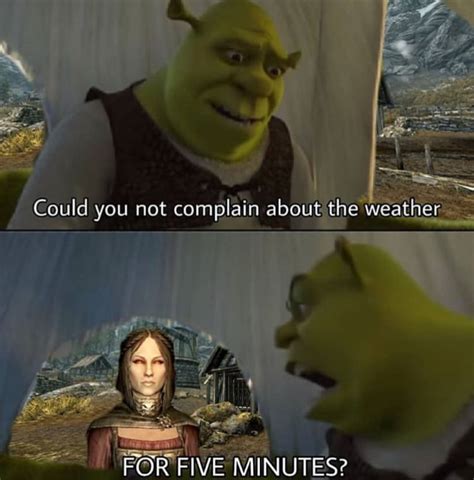 Funniest Skyrim Memes Made For True TES Fans FandomSpot