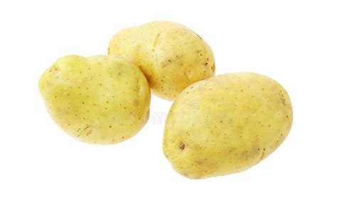 Fresh Clean Potatoes Stock Image Image Of Potatoes Fruit 5082175