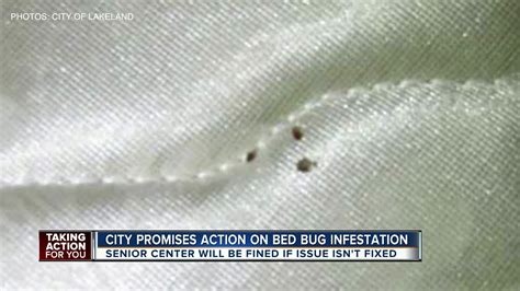 Housing Authority Blames Residents For Bed Bugs