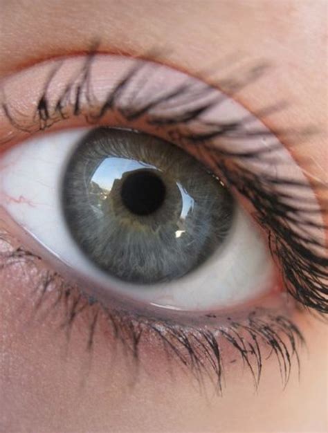 7 Rarest And Unusual Eye Colors That Looks Unreal
