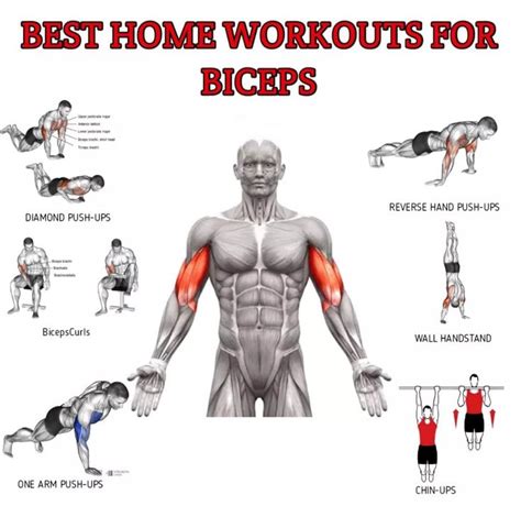Biceps Workout Without Equipment Cartello
