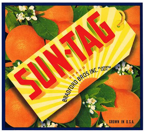Original Vintage Citrus Crate Label 1940s Sun Tag Placentia Etsy In