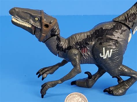 Jurassic World Hasbro Raptor Ob Toys