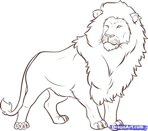 The Best Animal Drawing Easy Lion Ideas Enearth