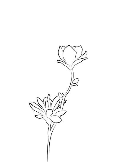 Minimalist aesthetic flowers beautiful simple flowers png. "Minimalist Magnolia Line Art Drawing in Black and White ...