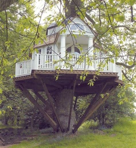 36 Amazing Dream Tree Houses