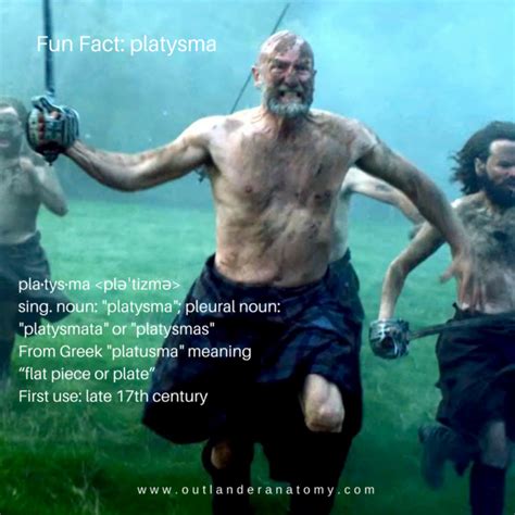 Fun Fact Platysma Outlander Anatomy