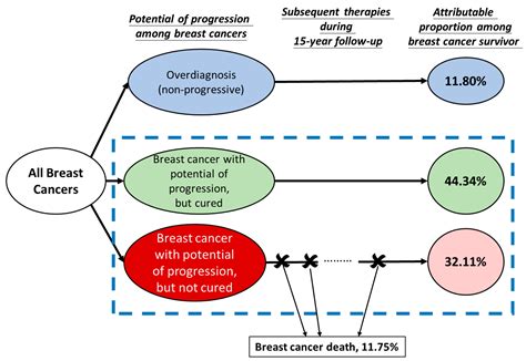 Cancers Free Full Text Impact Of Overdiagnosis On Long Term Breast Cancer Survival
