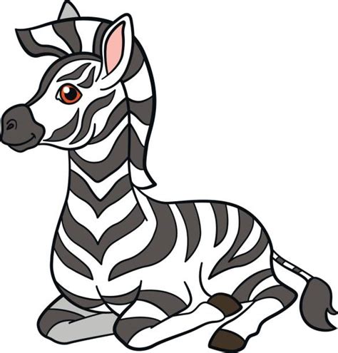 Baby Zebra Clipart Illustrations Royalty Free Vector Graphics And Clip