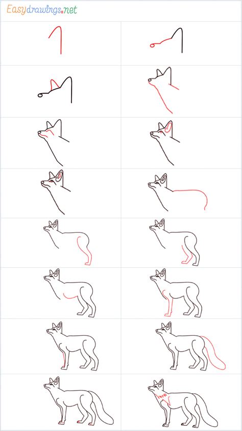 how to draw a fox step by step easy [16 easy phase]