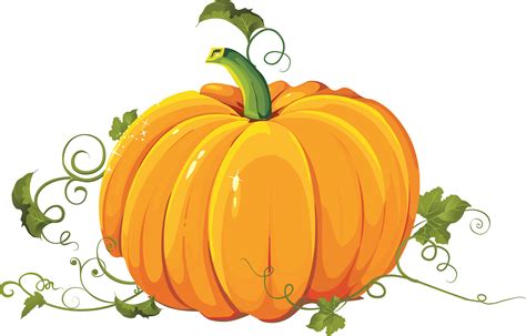 Pumpkin Png Image Transparent Image Download Size 3503x2240px