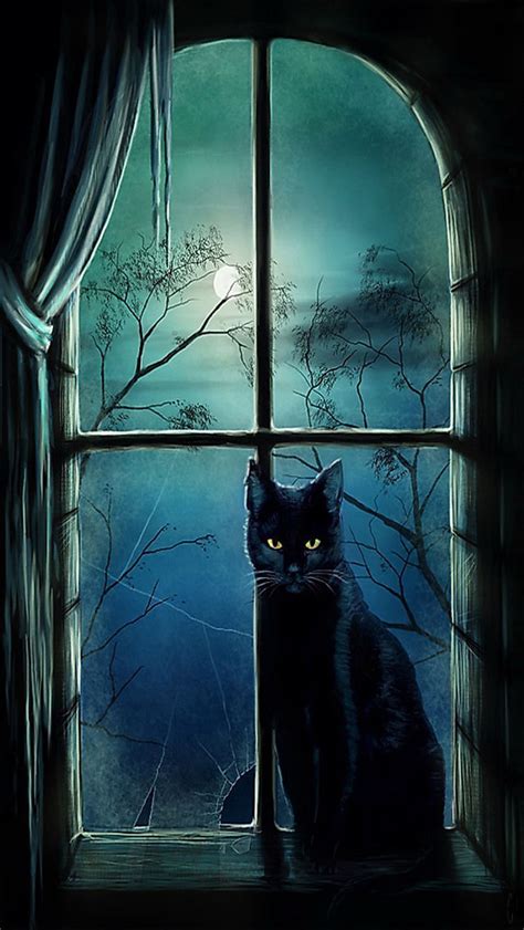 Halloween Witch Cat Iphone 5 Wallpaper 8499 The