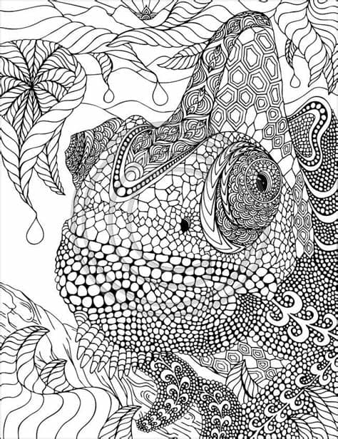 Die rätsel zu weihnachten jetzt gratis downloaden und in der grundschule oder zu hause verwenden. Pin auf Coloring, Cool & Creative